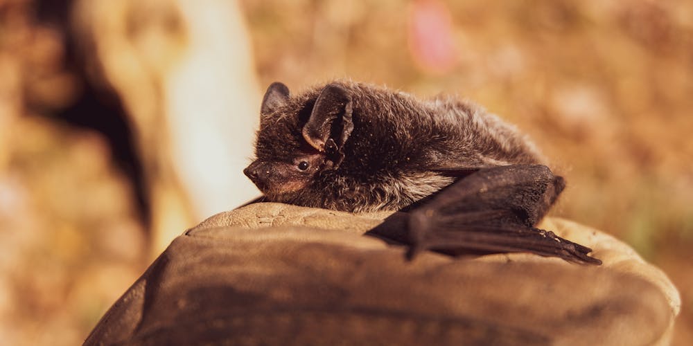 Xiên 3 miền Bắc về cỗ 97-11-59 hôm sau bắt 34-08 | gem88.best - Cơ hội thành tích đắm say và rất lan rộng độc đáo ít tín đồ biết